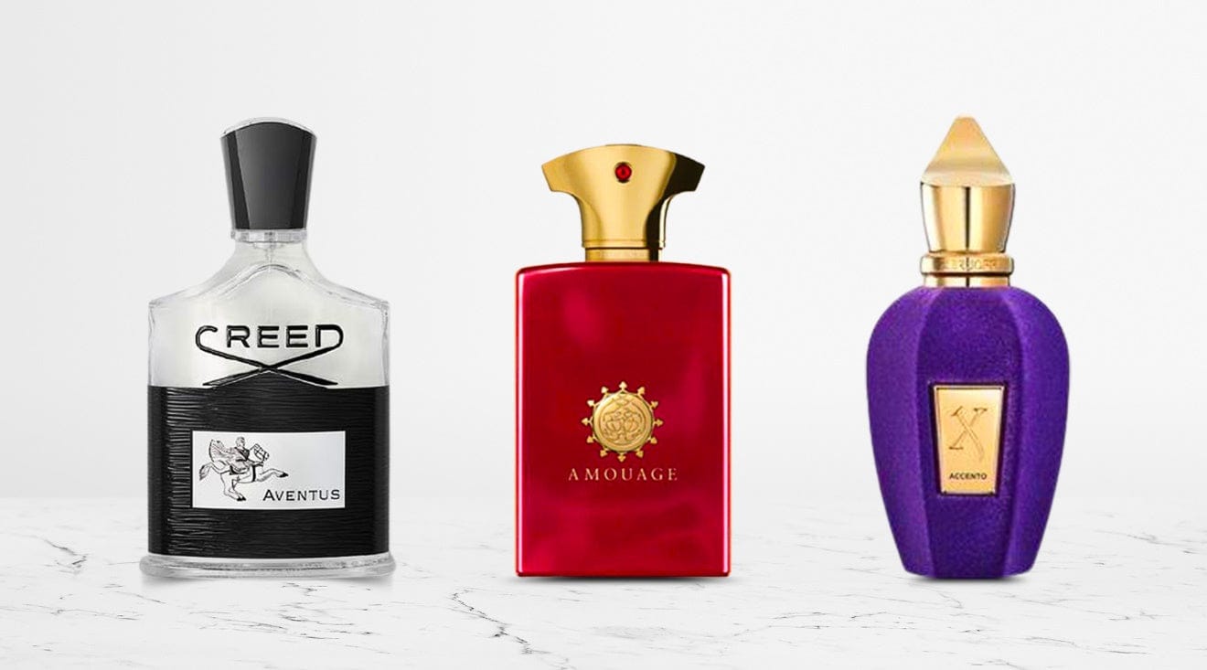 Fragrance, Perfume & Cologne