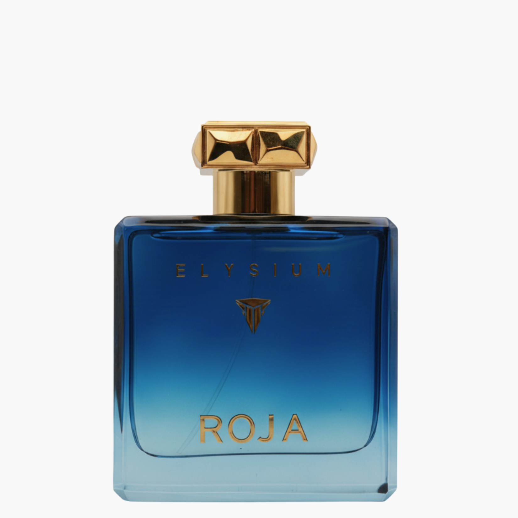 ROJA ELYSIUM パルファムコロン 100ml 13_8388014c-40d0-4cb7-aaa8-