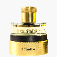 Pantheon Roma Il Giardino Extrait