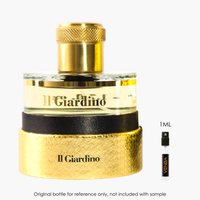 Pantheon Roma Il Giardino Extrait