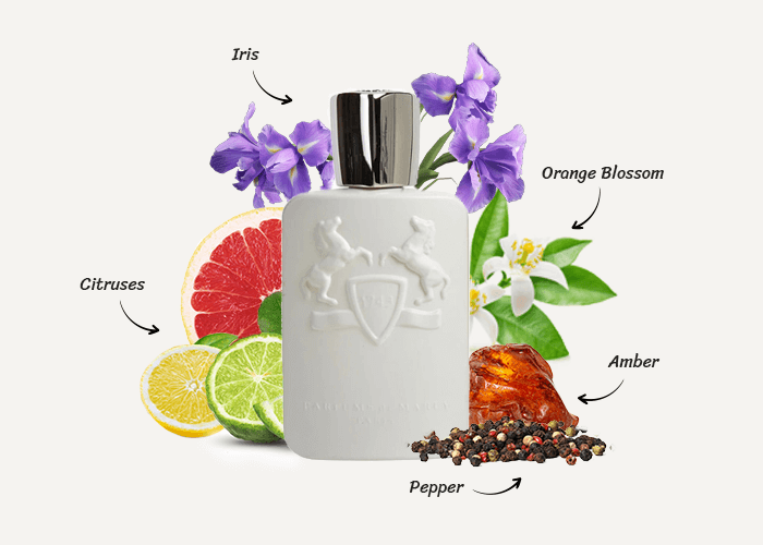 Parfums De Marly Galloway - Sample
